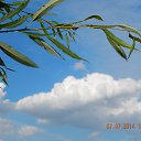 ���� ���������, ��������� - ��������� 10 ������� 2022 � ������ ���� ����������