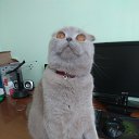 ���� Vasa, �����������, 73 ���� - ��������� 21 �������� 2022