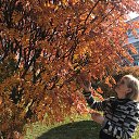 ���� �������, �����������, 54 ���� - ��������� 24 ������ 2022 � ������ ���� ����������