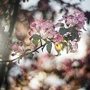  Vladimir,  -  25  2022     