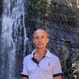 ������, ����, 49 ���