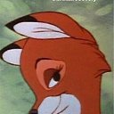 ���� ������, �����-���������, 45 ��� - ��������� 10 ��� 2022 � ������ ���� ����������