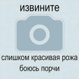 �����, ������, 22 ����