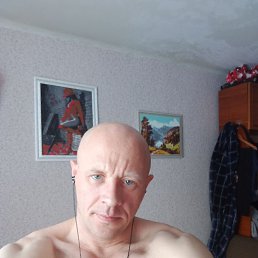 , 41, 