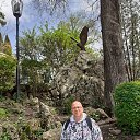 ���� ����, ���������, 56 ��� - ��������� 1 ��� 2022 � ������ ���� ����������