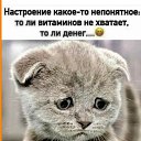 ���� ������, �������� - ��������� 3 ������� 2023 � ������ ���� ����������