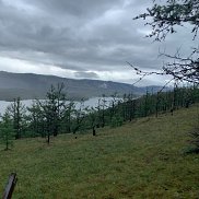 ������, 49 ���, �������