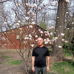 ���� ������, ������, 52 ���� - ��������� 13 ������ 2022