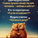 ���� �������, �������, 43 ���� - ��������� 21 ������� 2022 � ������ ���� ����������