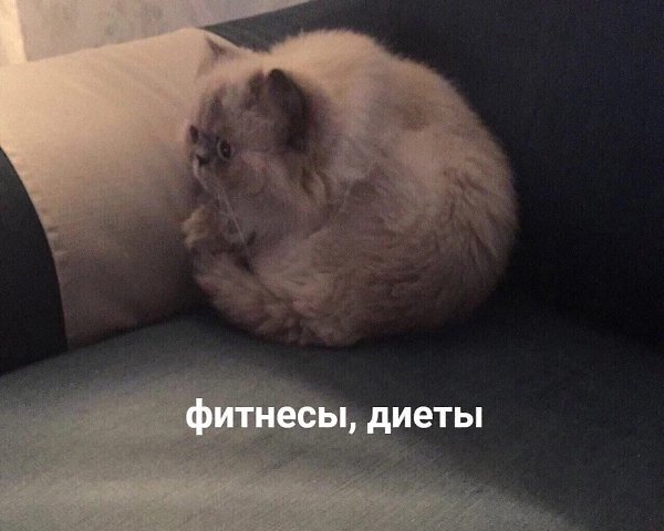     ! !