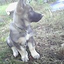 ���� ��������, ������, 52 ���� - ��������� 14 ������� 2023