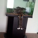 ���� �����, �������� - ��������� 7 ������� 2022 � ������ ������ ��������