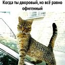 ���� ������, �����-���������, 49 ��� - ��������� 30 ������ 2022 � ������ ������ ��������