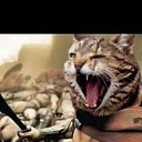 ���� �������, ������� - ��������� 19 ������ 2023 � ������ ���� ����������