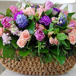 �������, ��������