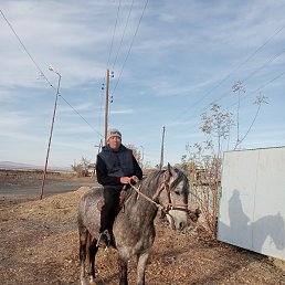 Alim, ����-�����������, 46 ���