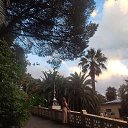 ���� *** �������***, �������� - ��������� 4 �������� 2022 � ������ ���� ����������