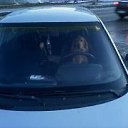 ���� ������, ����������, 43 ���� - ��������� 17 ������ 2022
