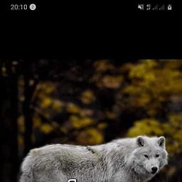 , , 43 