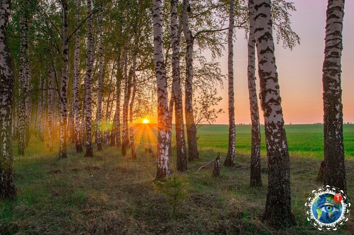 eo a  occ epe ... - 5