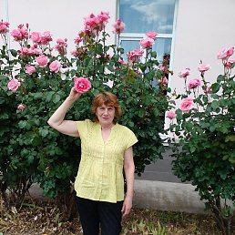 �������, ����, 69 ���