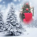 ���� ����, �����������, 75 ��� - ��������� 9 ������� 2022 � ������ ������ ��������