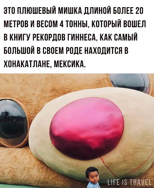 LIFE -  - 21  2022  23:54 - 2
