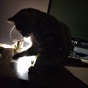 ���� ������, �������, 53 ���� - ��������� 27 ������ 2022 � ������ ���� ����������