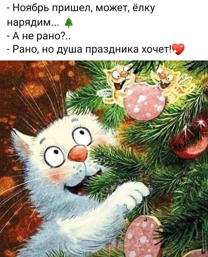   - 22  2022  10:09