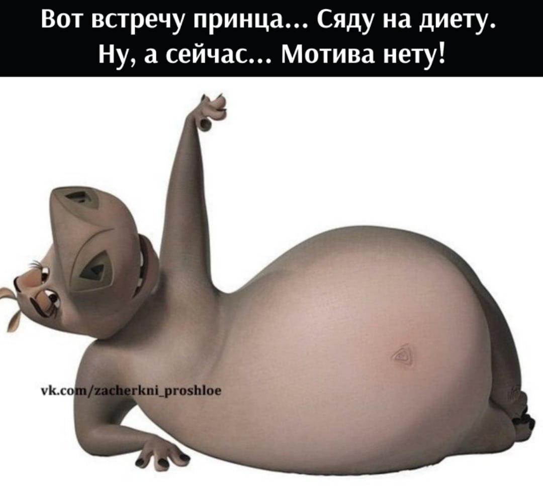   - 8  2022  15:28