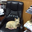 ���� ������, ������, 55 ��� - ��������� 12 ������� 2022 � ������ ���� ����������