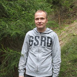 Дмитрий, 37, Сокольское
