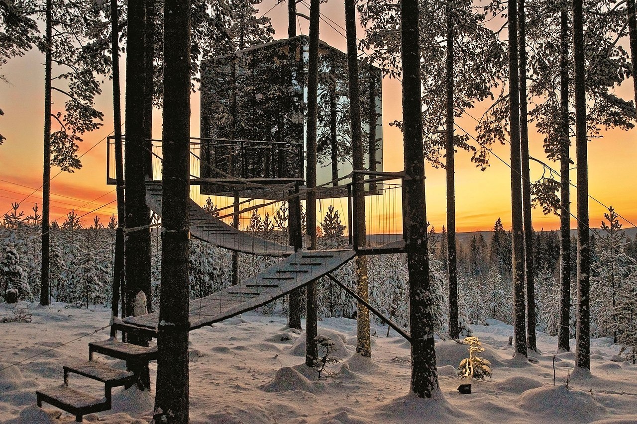  , - Treehotel.      ,    ...