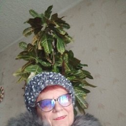 ���� �������, �������, 71 ��� - ��������� 2 ������� 2023