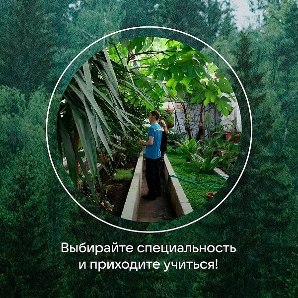 Ещё не выбрали подходящую специальность и место для учёбы? Выбрать направление непросто, необходимо ... - 3