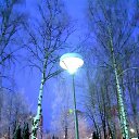 ���� �������, ������, 66 ��� - ��������� 15 ������� 2022 � ������ ���� ����������