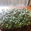 ���� ������, �������, 38 ��� - ��������� 3 ������ 2022 � ������ �111�