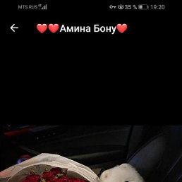 �������, ������, 28 ���