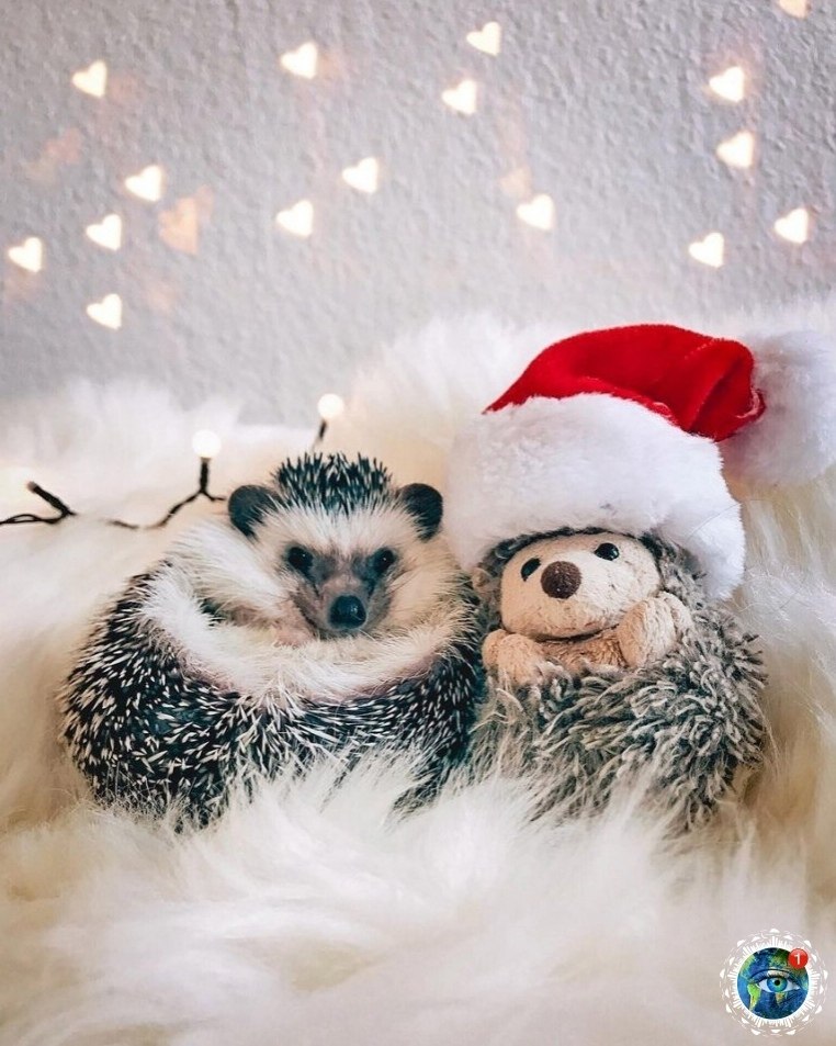 oc�o�p��e �a ��o ���o c �o����a��).���� ������������ ��� - 2