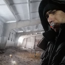 �������, ������, 33 ����