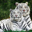 ���� ���������, �����������, 51 ��� - ��������� 18 ����� 2022 � ������ ������ ��������