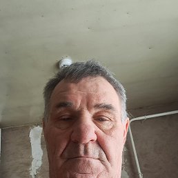 , 65 , 