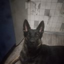 ���� ��������, ���������, 43 ���� - ��������� 15 ������� 2023 � ������ ���� ����������