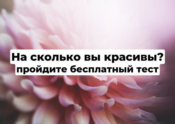    .   https://vk.cc/cfrRws .  ...