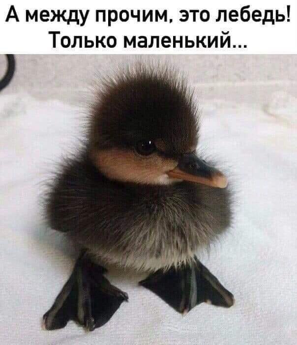  - 9  2023  09:00