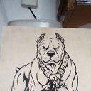 ���� �������, ������ ����, 42 ���� - ��������� 26 ����� 2022 � ������ �������