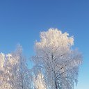 ���� ������, �����-���������, 68 ��� - ��������� 7 ������� 2022