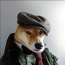 ���� ���, �����������, 23 ���� - ��������� 22 ��� 2022