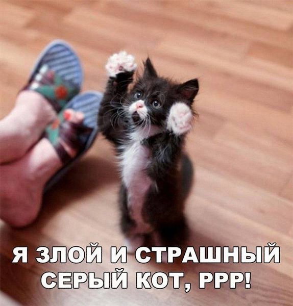    - 29  2022  08:31