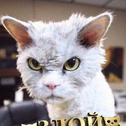 ����, ������, 33 ����